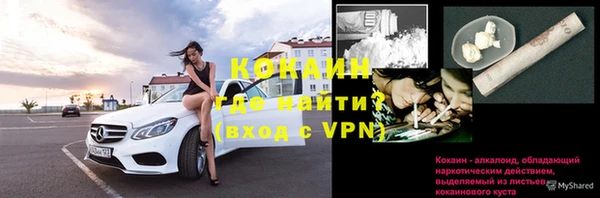 сатива Михайлов