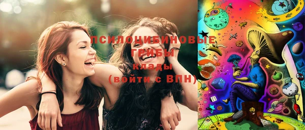 сатива Михайлов