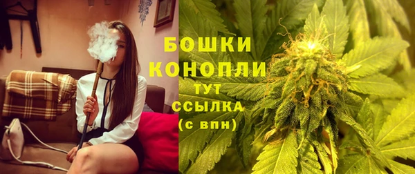 сатива Михайлов