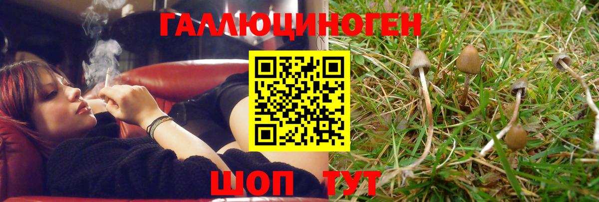 Псилоцибиновые грибы мухоморы Череповец